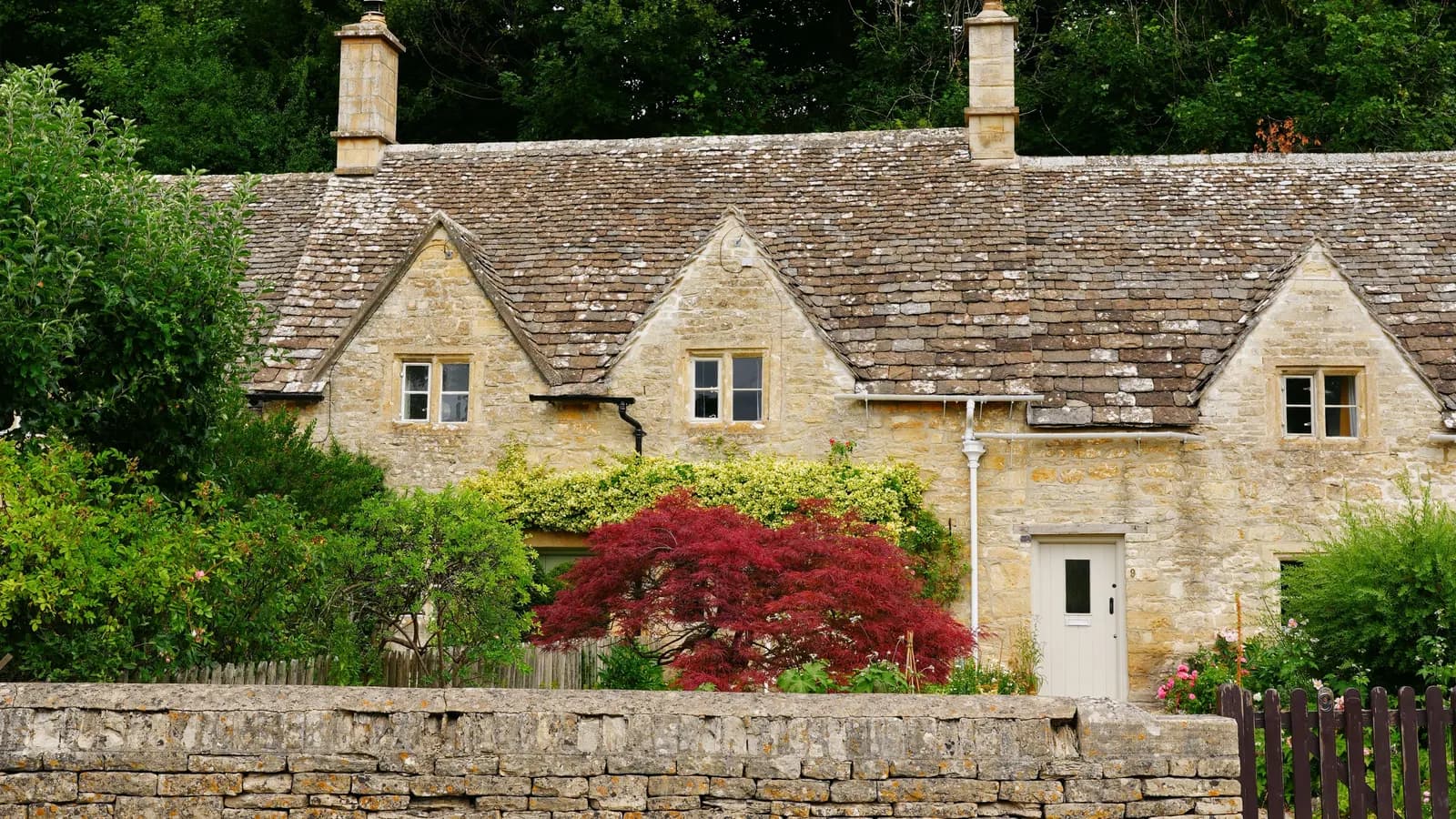 Stone cottage with three gables, chimneys and a stone slate roof behind a dry stone wall and a red-leaved acer